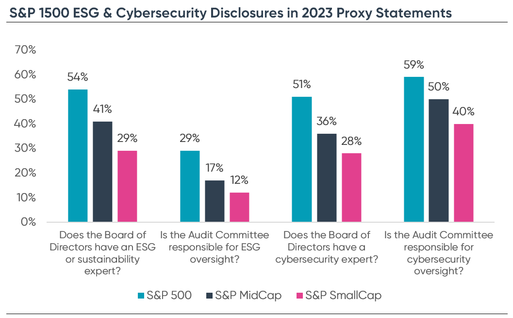 S&P ESG & Cybersecurity disclosures 2023. Ideagen Audit Analytics