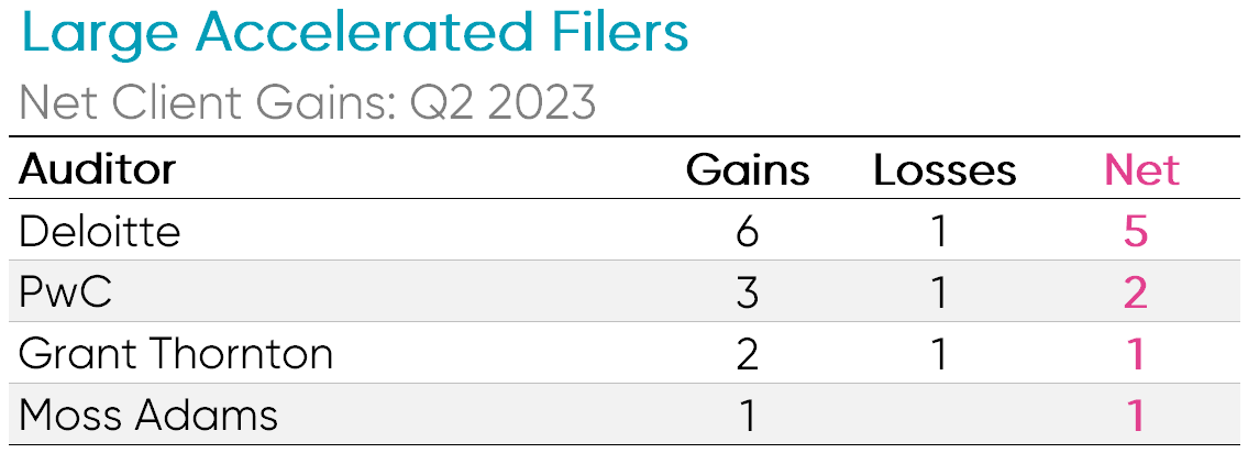 Large accelerated filers